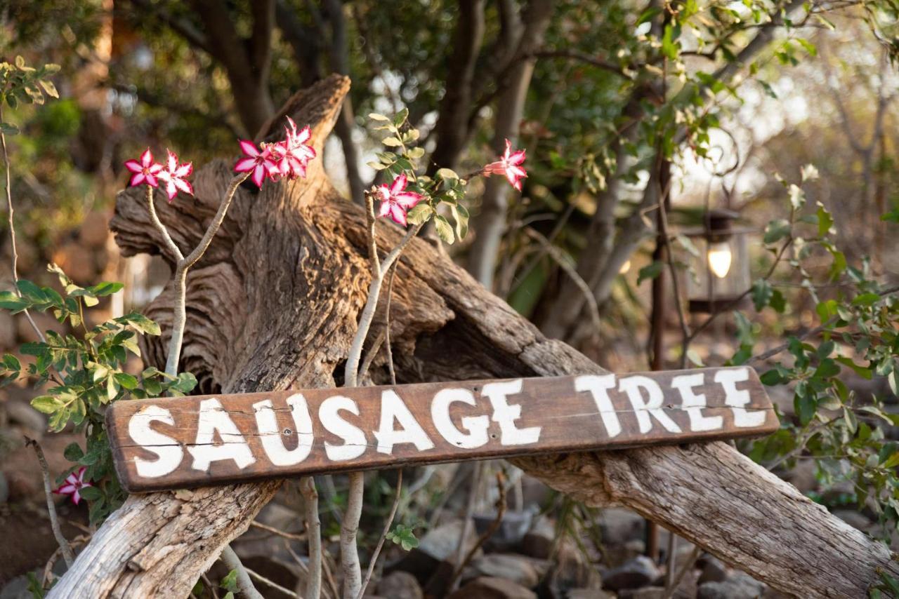 Sausage Tree Safari Camp Rizab Memburu Balule Luaran gambar
