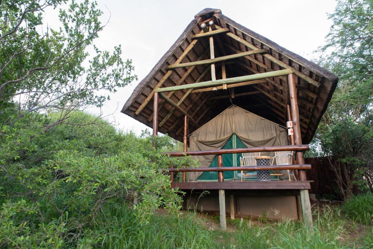 Sausage Tree Safari Camp Rizab Memburu Balule Luaran gambar